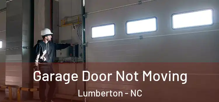  Garage Door Not Moving Lumberton - NC