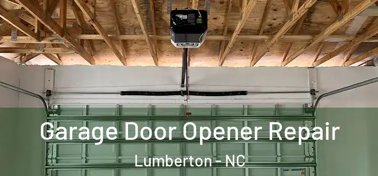  Garage Door Opener Repair Lumberton - NC