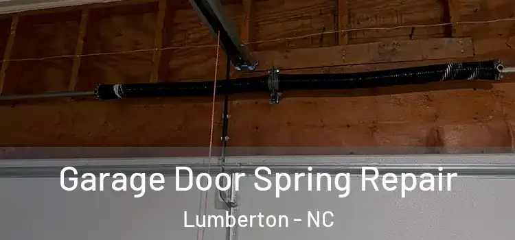 Garage Door Spring Repair Lumberton - NC