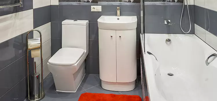 Hansgrohe Shaving Mirror Lumberton